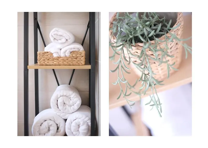 Downtown Oasis 아리시페